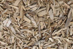 biomass boilers Ambler Thorn